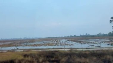 Arkasında dağlar olan Endonezya pirinç tarlaları, Endonezya pirinç tarlalarının havadan çekilmiş videoları. Yüksek kalite 4k görüntü