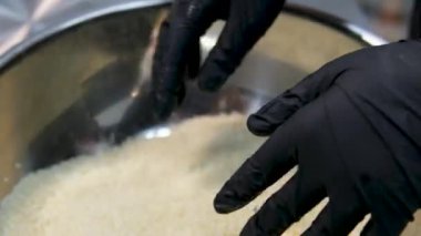 Pirinç koji ve pirinçli kulaklar. Pirinç koji Japon malt pilavıdır. Yüksek kalite 4k görüntü