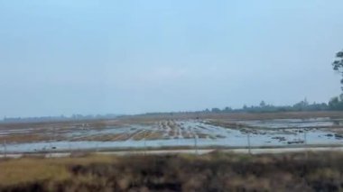 Arkasında dağlar olan Endonezya pirinç tarlaları, Endonezya pirinç tarlalarının havadan çekilmiş videoları. Yüksek kalite 4k görüntü