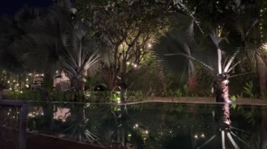 Akşam vakti Asya havuzu palmiye ağaçları. Yüksek kalite 4k görüntü