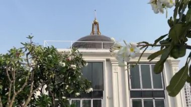 Lüks otel kar beyazı duvarları altın orkideler taze çiçekler çatı havuzu Vietnam Ho Chi Minh Şehri. Yüksek kalite 4k görüntü