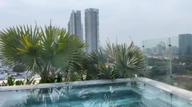 Lüks otel kar beyazı duvarları altın orkideler taze çiçekler çatı havuzu Vietnam Ho Chi Minh Şehri. Yüksek kalite 4k görüntü