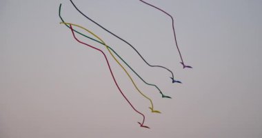 Mavi gökyüzünde renkli bir uçurtma. Mavi gökyüzüne ve beyaz bulutlara karşı gelişen bir uçurtmanın yavaşlatılmış çekimi. Uçurtma gösterisi Renkli uçurtmalar Akşam gökyüzünde uçar