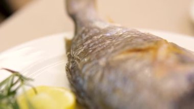 Dorado usulü ızgara. Limonlu ve otlu balık. Yüksek kalite 4k görüntü