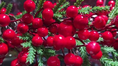 Kırmızı böğürtlen viburnum rowan 'dan yapılmış plastik Noel süslemesi. Arkaplanda ladin dalları var. Yüksek kalite 4k görüntü