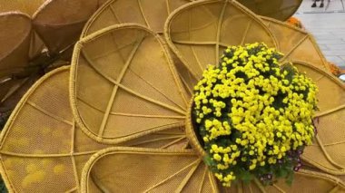 Doğu Cava Endonezya 'da Malang açık hava otelindeki turuncu minderli hasır sandalyeden iniyor. Yüksek kalite 4k görüntü