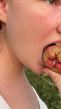 Kız gezgin meyveli Java tatlısı, balmumu elması, ağaçta Syzygium samarangense meyvesi yer. Ağaç çoğunlukla tropikal bölgelerde yetişir. Meyveye Semarang gül-elması ve balmumu jambu da denir..