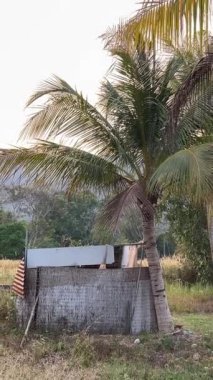 Ho Chi Minh şehrinin sokaklarında şehir dükkanlarındaki gerçek hayat Ho Chi Minh City Vietnam 'da 11.2024