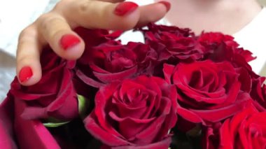 Sepette bir buket kırmızı gül. Kırmızı ojeli kız elleri çiçeklere dokunur. Kırmızı gül buketi. Kırmızı manikür kızları.