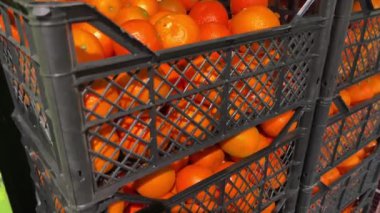 Bir süpermarketin meyve ve sebze reyonunda yeşil bir sandıkta satılan mandalina çekimleri. Yüksek kalite 4k görüntü