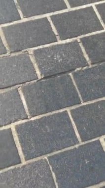 Döşeme taşlarının dokusu. Asfaltlı bir caddenin taşlarında yavaş dairesel hareketler. Şehir parkında kaldırım taşlarından yapılmış. 4k, çekim, yatay video, üst manzara, Krakow Polonya 'da kaldırım taşları