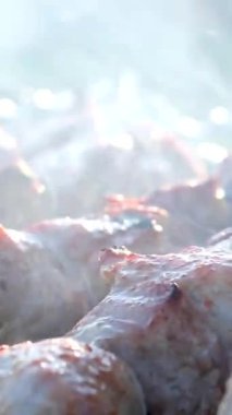 Izgara Lezzetli Barbekü. Kömür Souvlaki 'de Piknik yaparken Metal Biftek Şişi. Street Food Grill 'de. Izgarada marine edilmiş Shashlik Souvlaki. Izgara barbekü eti ateşte. Kızarmış Et Bbq Izgarası.