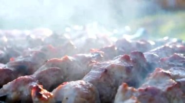 Izgara Lezzetli Barbekü. Kömür Souvlaki 'de Piknik yaparken Metal Biftek Şişi. Street Food Grill 'de. Izgarada marine edilmiş Shashlik Souvlaki. Izgara barbekü eti ateşte. Kızarmış Et Bbq Izgarası.