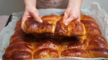 börek pişirmek, Arjantin 'den geleneksel fırın, evde hamuru et ve sebzelerle doldurmak, ev yapımı İspanyol börekleri. Dükkandaki raftaki ekmek rulolarına yakın çekim