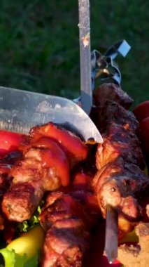 Izgarada kızartılmış soğanlı ve kırmızı domatesli et parçaları. Şişi şişlemeden kaldır