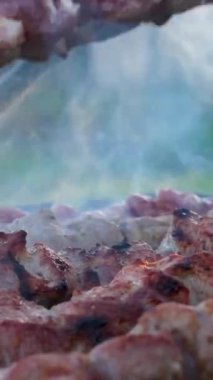 Barbekü ızgarasında ızgara şiş kebap. Sulu et kebabını dumanlı şişte hazırlıyorum. Barbekü. Açık havada ızgara. Piknik zamanı. Yüksek kalite 4k görüntü