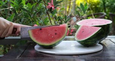 Yakın plan kırmızı karpuz dilimleri tabakta tohumlar, taze ve canlı bir yaz atıştırmalığı seti ile düzenlenir ve el bir parça kapar ve onu yakın tutar. Yüksek kaliteli FullHD görüntüler