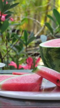 Yakın plan kırmızı karpuz dilimleri tabakta tohumlar, taze ve canlı bir yaz atıştırmalığı seti ile düzenlenir ve el bir parça kapar ve onu yakın tutar. Yüksek kaliteli FullHD görüntüler