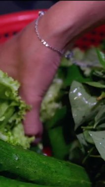 Bir kasede yeşil marul, roka ve salatalık salatası hazırlıyorum. Yüksek kaliteli FullHD görüntüler