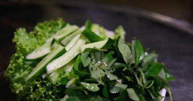 Bir kasede yeşil marul, roka ve salatalık salatası hazırlıyorum. Yüksek kaliteli FullHD görüntüler