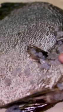 Nadir bulunan yassı Hong Kong balığı özel Asya mutfağı tarifi. Balık temiz yemek.