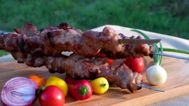 Izgarada açık ateşte kızarmış et. Shashlik, geleneksel Gürcü yemekleri. Brezilya 'da kızartılan domuz etine yakın çekim. Kızarmış et videosu, arka bahçede barbekü partisi.
