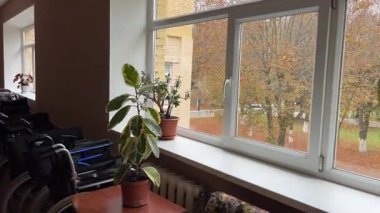 Hastanedeki tekerlekli sandalyeler parlak modern tasarım ofis alanı içinde kimse yok ve büyük güneş ışığı pencereleri ve bahçe manzarası. Yüksek kalite 4k görüntü