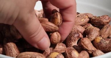 Stüdyodaki fıstıklı fıstıklı ve kavrulmuş fındıklı fındıklı fıstıklı fındıklardan el seçimini yap. Yüksek kaliteli FullHD görüntüler