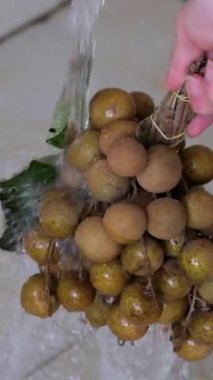 El yıkama Longan Fruit Bolluk: Olgun longan meyvelerinin bol bol sergilendiği, kahverengi derilerinin ışığın altında parladığı yakın plan bir çekim. Tazelik ve doğal tatlılık.