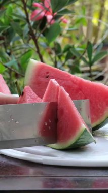Cam masada karpuz ve hasır sandalyeli açık hava teras seti. Yüksek kaliteli FullHD görüntüler