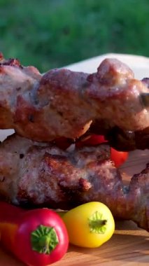 Izgarada açık ateşte kızarmış et. Shashlik, geleneksel Gürcü yemekleri. Brezilya 'da kızartılan domuz etine yakın çekim. Kızarmış et videosu, arka bahçede barbekü partisi.