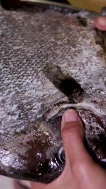 Vietnam Balığı. Vietnam levreği. Asya Big Snapper Pişirme Süreci. Asyalı Flatfish. Asya levrek balığı pişirmek. Yüksek kaliteli FullHD görüntüler