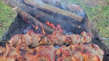 Tahtadan yapılmış şiş kebap, domuz barbeküsü, kuzu rostosu, aile ve arkadaşlarla dinlenme. Yüksek kalite 4k görüntü