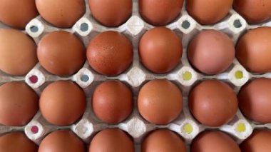 Karton yumurta kutularındaki çiğ tavuk yumurtalarını kapat. Yumurta kabında taze, organik ve sağlıklı tavuk yumurtaları. Yüksek kalite 4k görüntü