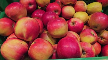 Kırmızı elmalı bir sürü kutu. Yüksek kalite 4k görüntü