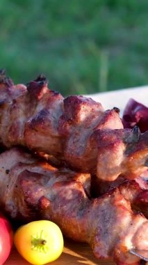 Kömür ızgarasında sebze kebabı ızgara, yakın görüş. Yüksek kalite 4k görüntü