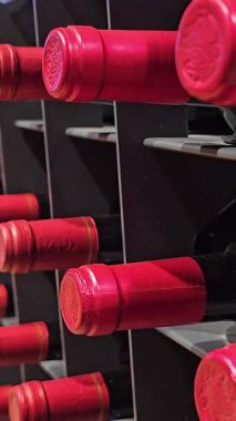 Şaraphanedeki şarap şişeleri. Şarap rafında şarap şişeleri. Şarap mahzeninde etiketsiz şişeler. Yüksek kalite 4k görüntü