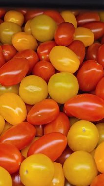 Bir dükkandaki tezgahın üzerinde sarı kırmızı kiraz domatesleri. Yüksek kalite 4k görüntü