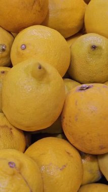 Limon portakalı greyfurt dükkanında. Yüksek kalite 4k görüntü