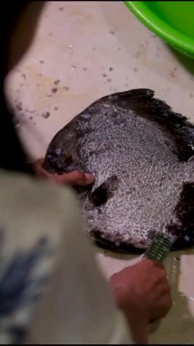 Şef, balığı kesmek için makas kullanıyor. Asya 'nın düz yüzgeçleri Vietnam mutfağı pişirir.