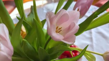 Yemek masasında pembe laleler. Yüksek kalite 4k görüntü