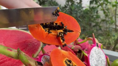 Papaya meyvesi, taze papaya, çiğ vejetaryen yemeği. Yüksek kalite 4k görüntü