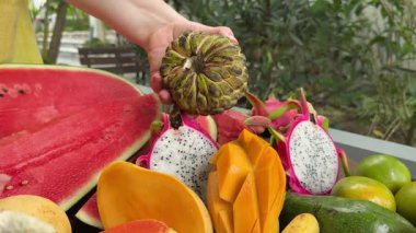 Kadın elleri elma şekeri kırarken pek çok tropikal lezzet, olgun kremalı elma ya da yeşil yapraklı meyveli meyve, Beyaz Arkaplanda Dönüyor ve Uzayı Kopyaladı, ayrıca şeker elma olarak da bilinir. Yüksek kalite