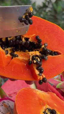 Papaya meyvesi, taze papaya, çiğ vejetaryen yemeği. Yüksek kalite 4k görüntü