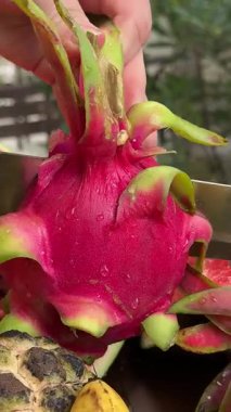 Eller kesilmiş ve içinde ejderha meyvesi var. Yüksek kalite 4k görüntü