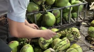 İnsan taze hindistan cevizi kırar, yeşil hindistan cevizi kabuğunu makineyle keser taze hindistan cevizi sütü içmek için, egzotik meyveler. Genç hindistan cevizleri sağlığını korumak için çalışır. Yüksek kalite 4k görüntü