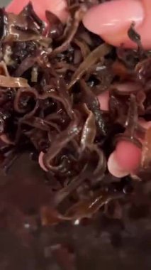 Dilimlenmiş siyah ahşap mantar. Ahşap zemin üzerinde siyah kesilmiş mantarın dönüşümlü görüntüsü. Yenilebilir siyah mantar auricularia polytricha. Kadınlar ellerini yıkar ve mantarları ıslatır.