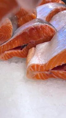 Dondurulmuş alabalık buz parçalarında yatar. Taze balık buzun üzerinde yatıyor, yakın plan. Dükkandaki soğutulmuş bir raftaki balıklar. Süpermarket. Soğuk alabalık. Yüksek kalite 4k görüntü