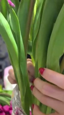 Sabah kız 101 lale aldı. Kocaman buket kollu pijama giyip internette video çekerek arkadaşlarıyla neşe paylaşıyordu. fotoğraf