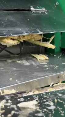 Baston içeceği tedarikçisinin hazırlanması şeker kamışı suyu makinesiyle taze şeker kamışı suyunu çıkarıyor. Müslümanların kutsal Ramazan ayında kahvaltı yapmaları sağlanıyor. yaş